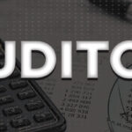 What-Is-an-Auditor