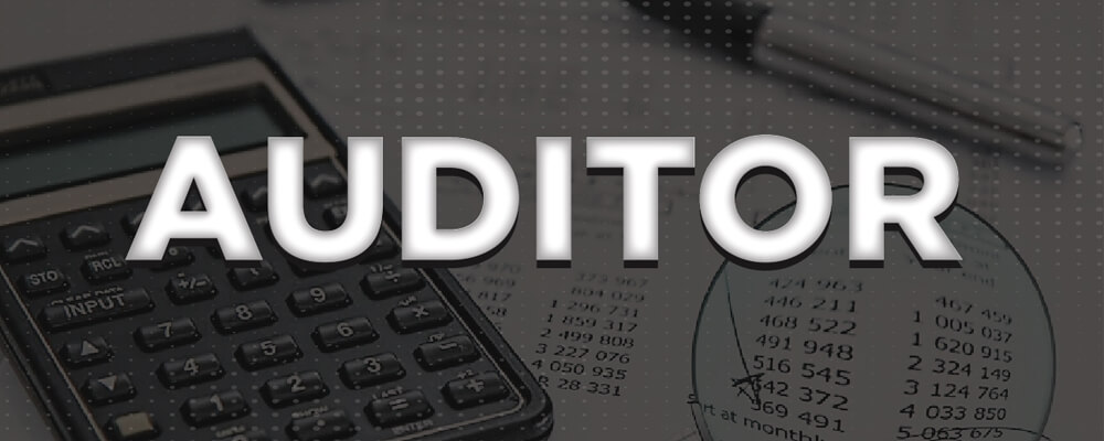 What-Is-an-Auditor