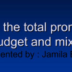 setting-the-total-promotion-budget-and-mix