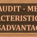 Advantages-and-Disadvantages-of-Final-Audit