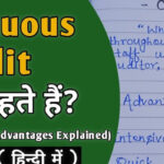 Continuous-Audit-Definition