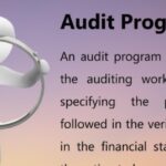 What-is-Audit-Program