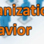 Organizational-Behavior-and-Its-Importance