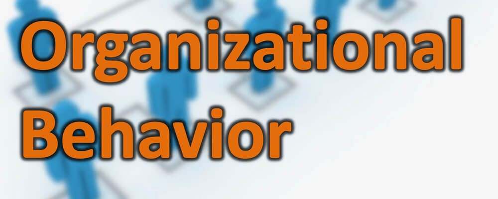 Organizational-Behavior-and-Its-Importance