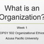 What-is-Organization