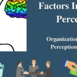 What-is-Perception