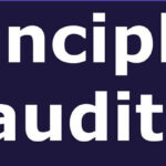 basic-principles-of-auditing