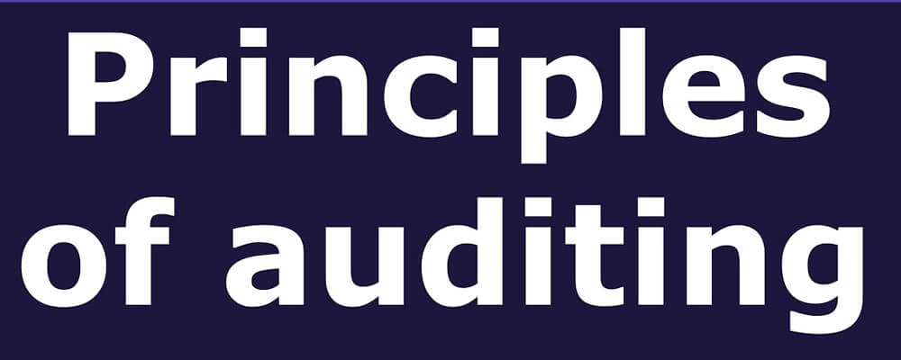 basic-principles-of-auditing
