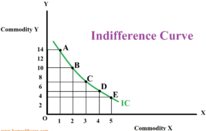 What is an Indifference Curve
