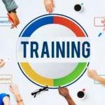 The Training Process | Phases of Training