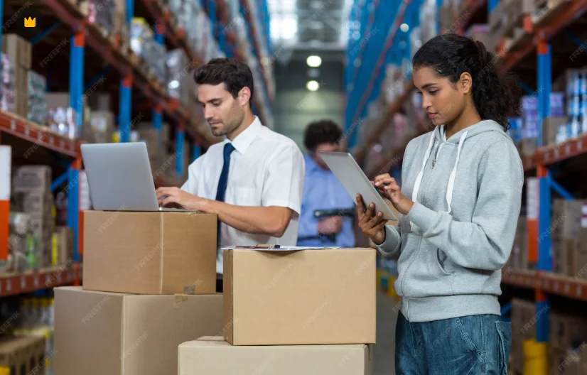 Types of Wholesalers