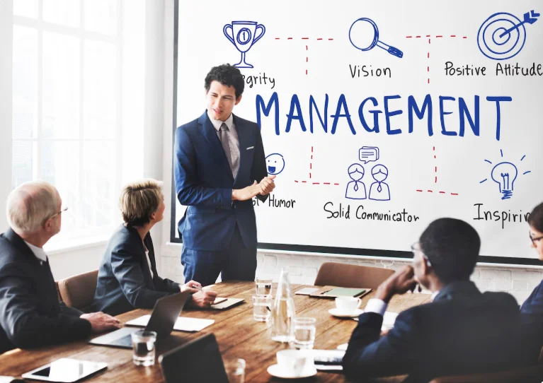What is Project Management